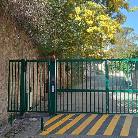 T2 A Proximite Des Plages Cannes Eksteriør bilde